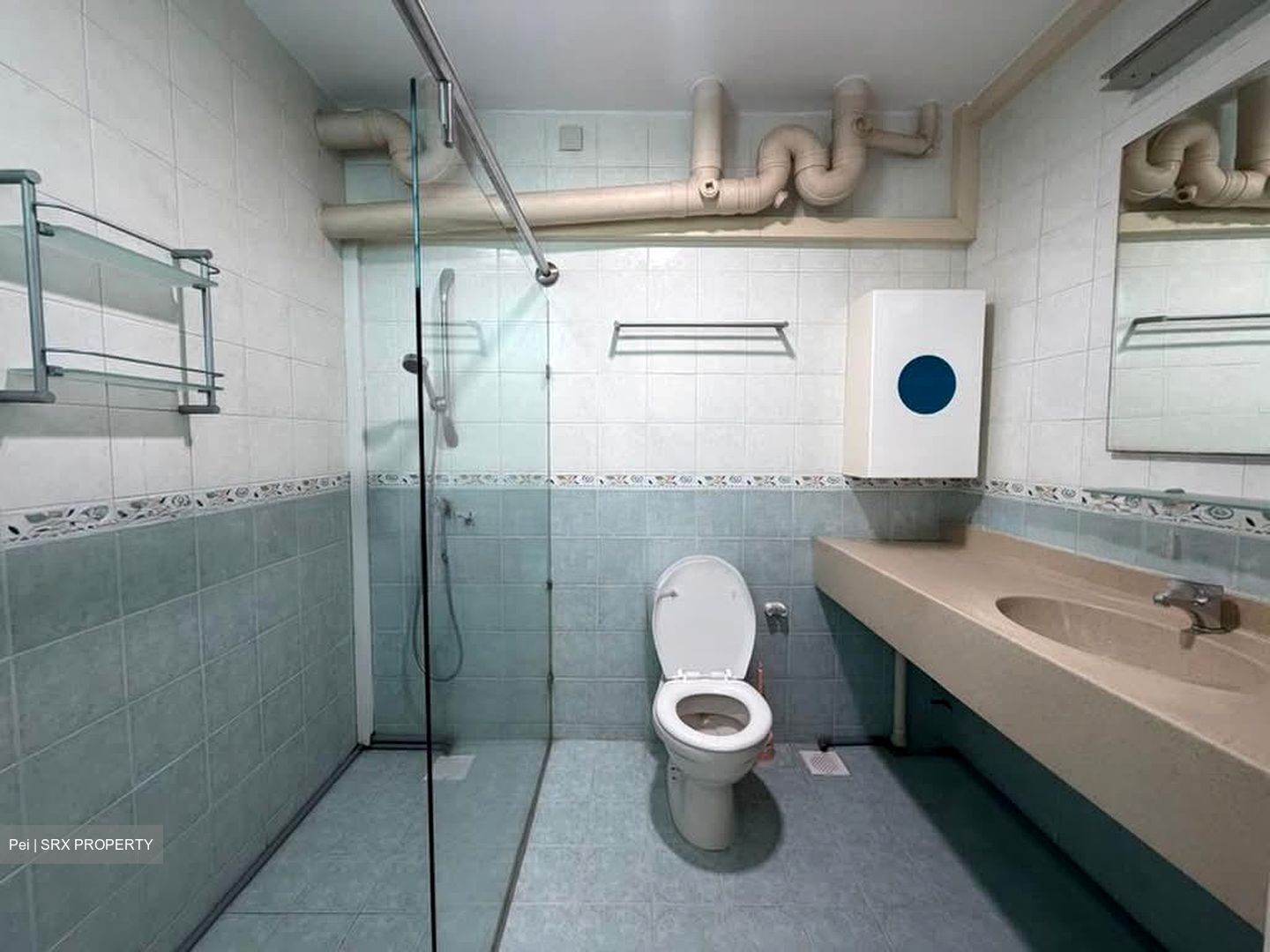 Blk 186 Punggol Central (Punggol), HDB Executive #568292811